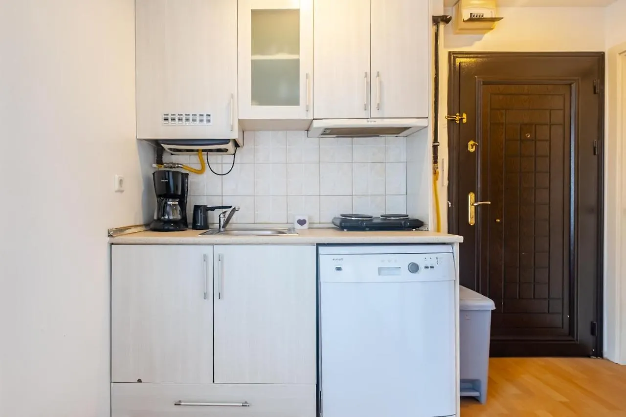 Chic Studio Flat Near Trendy Locations In Beyoglu Lägenhet Istanbul