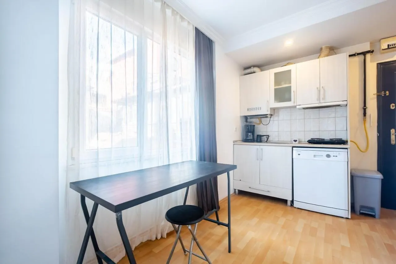 Chic Studio Flat Near Trendy Locations In Beyoglu Lägenhet Istanbul 0*,  Turkiet